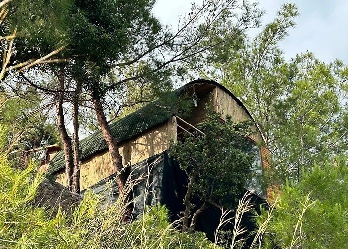 Kabak Uetopya Kamp